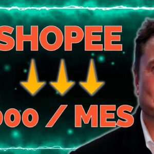 APRENDA A GANHAR +R$6000 POR MES NA SHOPEE | VENDA ISSO AGORA